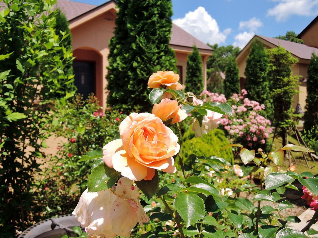 Aromatic Garden Villa La Poltrona Nasu Exterior foto