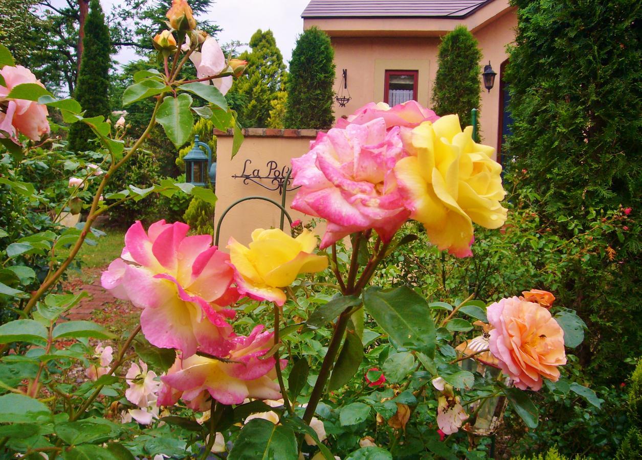 Aromatic Garden Villa La Poltrona Nasu Exterior foto