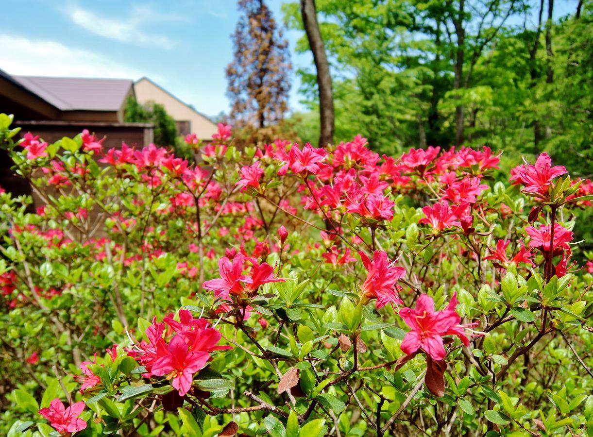 Aromatic Garden Villa La Poltrona Nasu Exterior foto